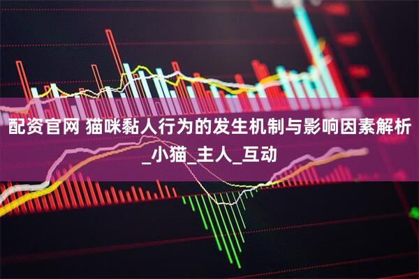 配资官网 猫咪黏人行为的发生机制与影响因素解析_小猫_主人_互动