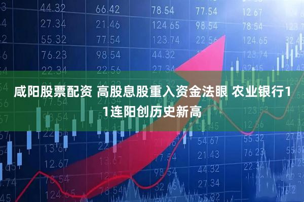 咸阳股票配资 高股息股重入资金法眼 农业银行11连阳创历史新高